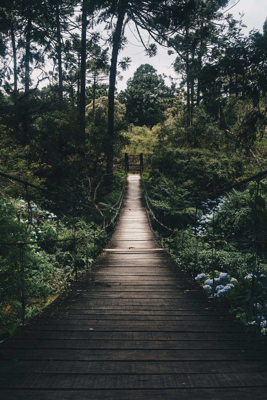 Life Path Numbers